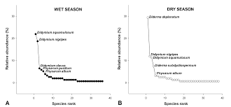 Attēlu rezultāti vaicājumam “Didymium serpula young”