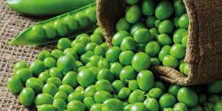 Image result for Erbsen