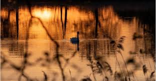 Image result for Stroud Hockey Club