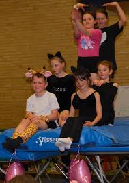Image result for Dimensions Trampoline Club