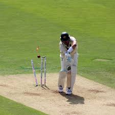Image result for Horrington Cricket Club