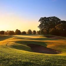 Image result for Vale Royal Abbey Golf Club