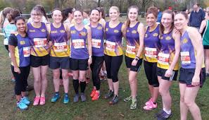 Image result for Leighton Buzzard (Beds) Netball Club