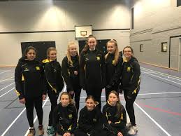 Image result for Henley Netball Club
