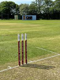 Image result for Bucklebury Cricket Club