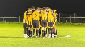 Image result for Banstead Athletic Fc