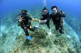 「ナジマ・ゲブール」の画像検索結果