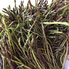 Attēlu rezultāti vaicājumam “Asparagus officinalis leaf”