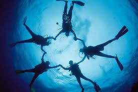 Image result for World Divers
