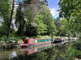 Image result for Mytchett Centre Football Club