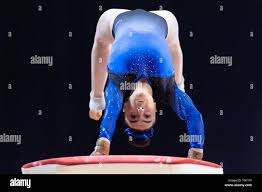 Image result for West Lothian Artistic Gymnastic Club