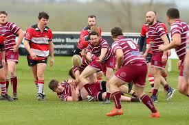 Image result for Newport (Salop) Rugby Union Football Club