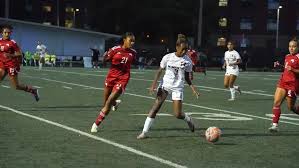 Image result for York University Futsal Club