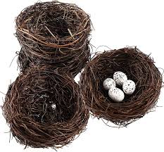 Attēlu rezultāti vaicājumam “nest”