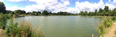 Image result for Crowthorne Angling