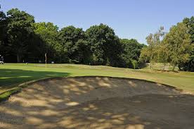 Image result for Leatherhead Golf Club