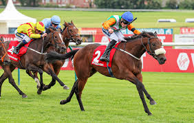 Image result for Ayr Riding Club