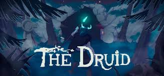 Image result for druid