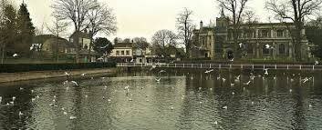 Image result for Carshalton Scrabble Club