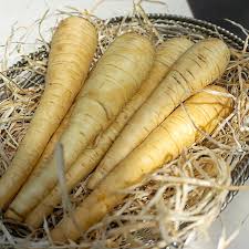 Image result for Pastinake