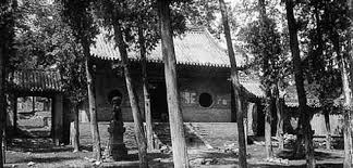Image result for Shaolin Ancestors kung Fu School