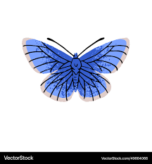 Attēlu rezultāti vaicājumam “Polyommatinae”