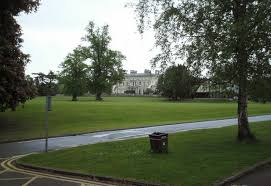 Image result for Ashtead Cricket Club