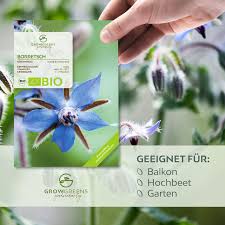 Image result for Borretsch