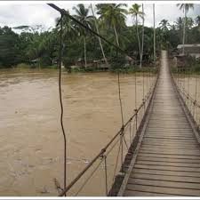 Attēlu rezultāti vaicājumam “Diderma chondrioderma spores”