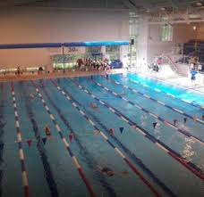 Image result for Haslemere Swimming Club