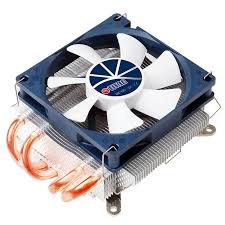 Image result for Speedwell Ttc