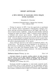 Attēlu rezultāti vaicājumam “Badhamia versicolor spores”