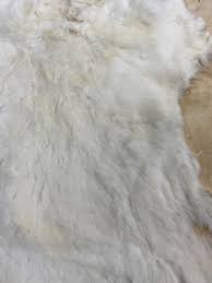 Image result for white rabbit skin texture