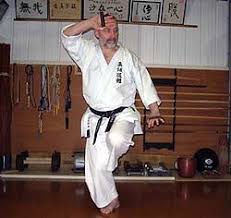 Image result for Ji Shin Do Karate