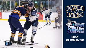 Image result for Romford Raiders