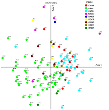 Attēlu rezultāti vaicājumam “Cetrelia sp.”