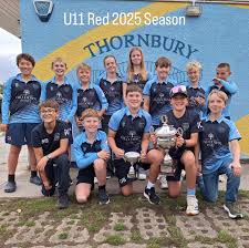 Image result for Thornbury Cricket Club