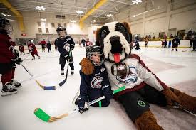 Image result for Ash Avalanche Skater Hockey Club