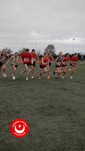 Image result for Louth Athletic Club