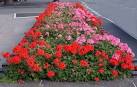 The Princess Diana memorial garden - via Daymix
