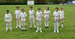 Image result for Matlock Cricket Club