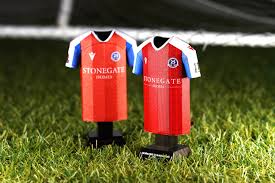 Image result for Dorking Football Club Limited