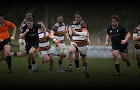 Image result for Southend Rugby Football Club Ltd