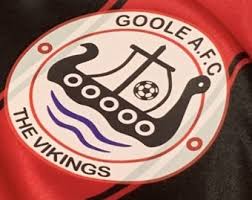 Image result for Goole Town Cricket Club