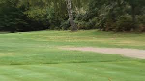 Image result for Aldershot Cricket Club