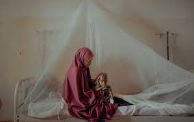 Attēlu rezultāti vaicājumam “Badhamia bethelii stalked”