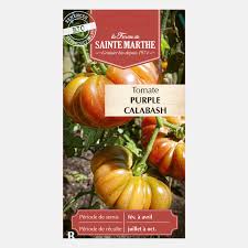Afbeeldingsresultaat voor purple calabash tomato