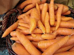 Image result for Möhren