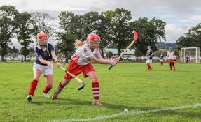 Image result for Edinburgh University Shinty Club