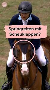 Image result for scheuklappen
